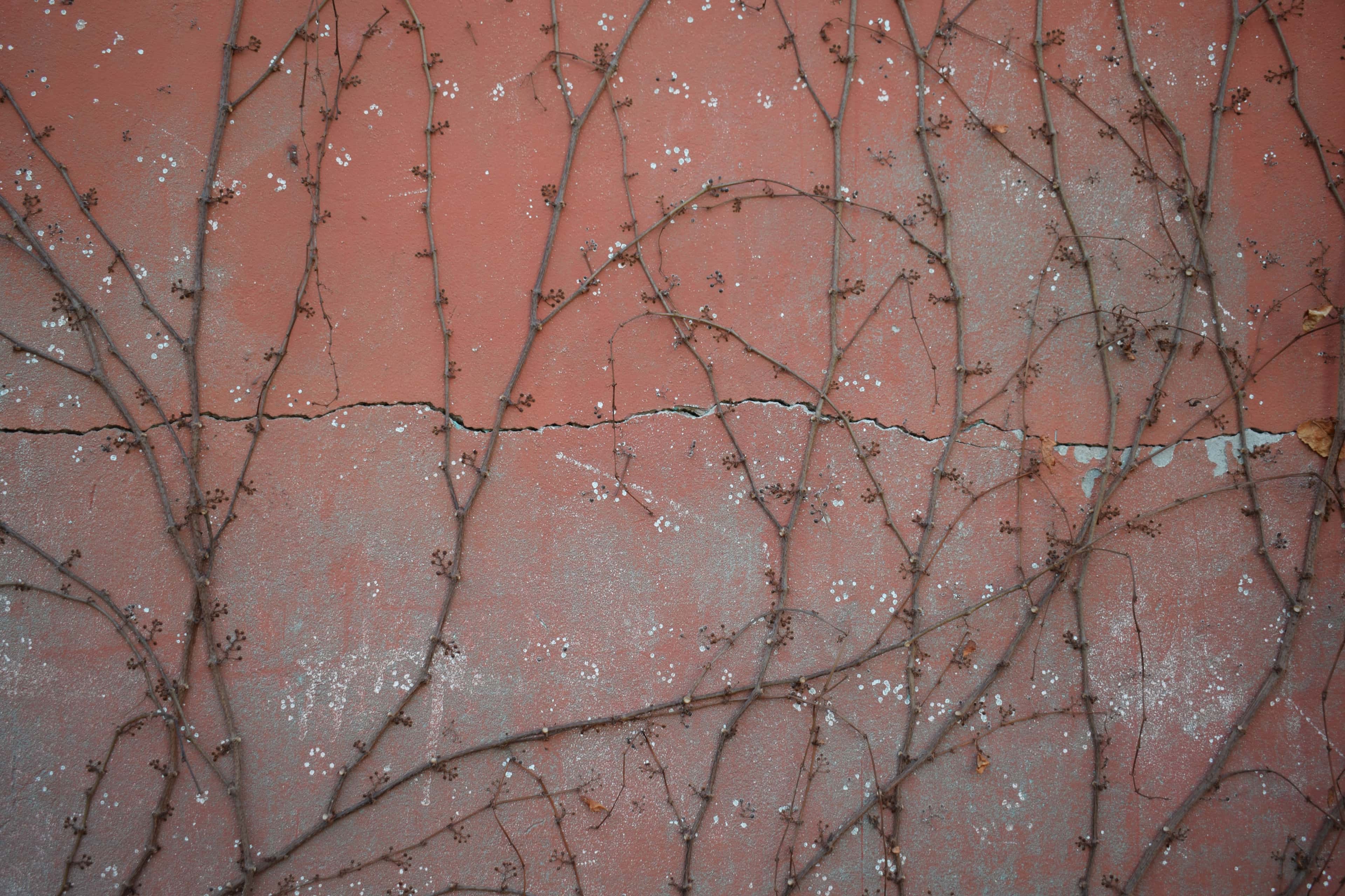 <Dune> 영화 감상문